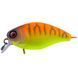 Воблер Jackall Chubby 38mm 4.0g Tropical Mat Tiger 1294357002 фото